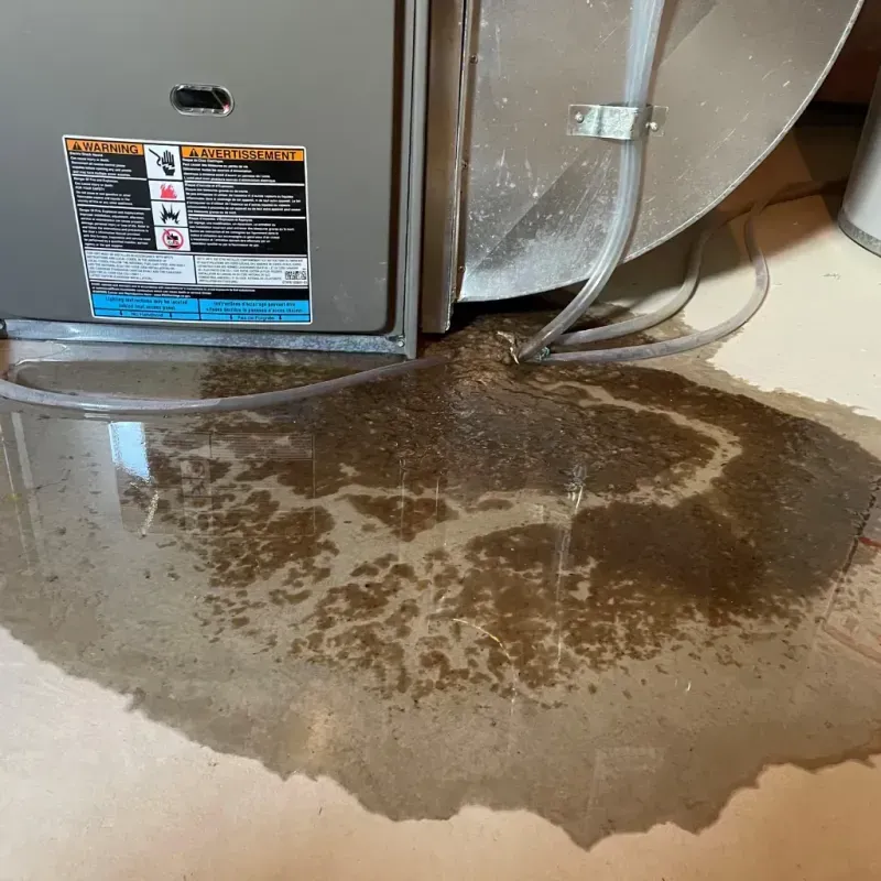 Appliance Leak Cleanup in Swansboro, NC